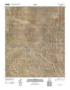 Stone Well New Mexico Historical topographic map, 1:24000 scale, 7.5 X 7.5 Minute, Year 2010