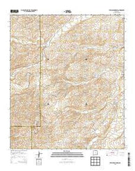 Strychnine Draw New Mexico Historical topographic map, 1:24000 scale, 7.5 X 7.5 Minute, Year 2013