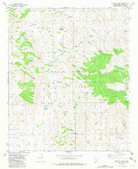 Sulphur Pass New Mexico Historical topographic map, 1:24000 scale, 7.5 X 7.5 Minute, Year 1981