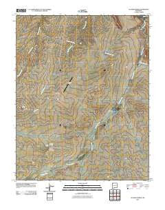 Sulphur Spring New Mexico Historical topographic map, 1:24000 scale, 7.5 X 7.5 Minute, Year 2010