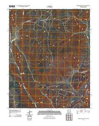 Surrender Canyon New Mexico Historical topographic map, 1:24000 scale, 7.5 X 7.5 Minute, Year 2010
