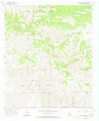 Surveyors Canyon New Mexico Historical topographic map, 1:24000 scale, 7.5 X 7.5 Minute, Year 1965