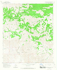Surveyors Canyon New Mexico Historical topographic map, 1:24000 scale, 7.5 X 7.5 Minute, Year 1965