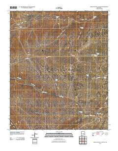 Swallow Nest Canyon New Mexico Historical topographic map, 1:24000 scale, 7.5 X 7.5 Minute, Year 2010