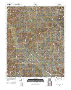 Tancosa Windmill New Mexico Historical topographic map, 1:24000 scale, 7.5 X 7.5 Minute, Year 2010