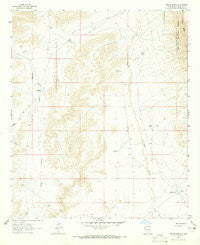 Tanner Ranch New Mexico Historical topographic map, 1:24000 scale, 7.5 X 7.5 Minute, Year 1963