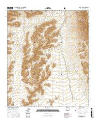 Tanner Ranch New Mexico Current topographic map, 1:24000 scale, 7.5 X 7.5 Minute, Year 2017