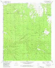 Taylor Peak New Mexico Historical topographic map, 1:24000 scale, 7.5 X 7.5 Minute, Year 1981
