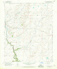 Taylor Springs New Mexico Historical topographic map, 1:24000 scale, 7.5 X 7.5 Minute, Year 1965