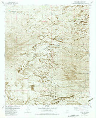 Taylor Well New Mexico Historical topographic map, 1:24000 scale, 7.5 X 7.5 Minute, Year 1982