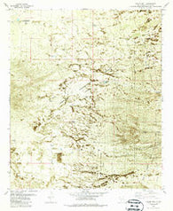 Taylor Well New Mexico Historical topographic map, 1:24000 scale, 7.5 X 7.5 Minute, Year 1982