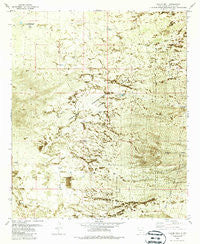 Taylor Well New Mexico Historical topographic map, 1:24000 scale, 7.5 X 7.5 Minute, Year 1982