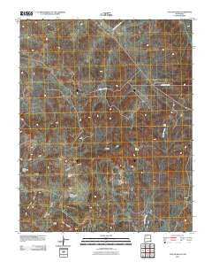 Taylor Ranch New Mexico Historical topographic map, 1:24000 scale, 7.5 X 7.5 Minute, Year 2010