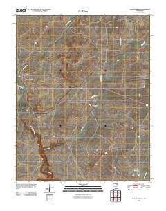 Taylor Springs New Mexico Historical topographic map, 1:24000 scale, 7.5 X 7.5 Minute, Year 2010