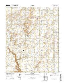 Taylor Springs New Mexico Historical topographic map, 1:24000 scale, 7.5 X 7.5 Minute, Year 2013