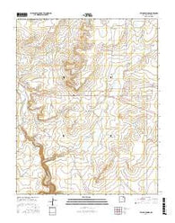 Taylor Springs New Mexico Current topographic map, 1:24000 scale, 7.5 X 7.5 Minute, Year 2017