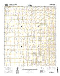 Taylor Well New Mexico Current topographic map, 1:24000 scale, 7.5 X 7.5 Minute, Year 2017