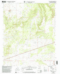 Tejana Mesa SW New Mexico Historical topographic map, 1:24000 scale, 7.5 X 7.5 Minute, Year 1999