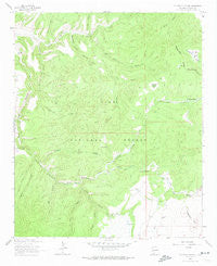 Telephone Canyon New Mexico Historical topographic map, 1:24000 scale, 7.5 X 7.5 Minute, Year 1963