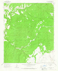 Telephone Canyon New Mexico Historical topographic map, 1:24000 scale, 7.5 X 7.5 Minute, Year 1963