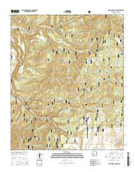 Telephone Canyon New Mexico Current topographic map, 1:24000 scale, 7.5 X 7.5 Minute, Year 2017