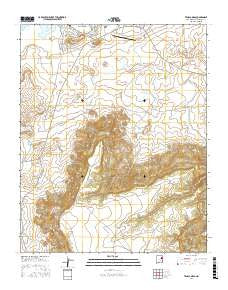 Tenaja Mesa New Mexico Current topographic map, 1:24000 scale, 7.5 X 7.5 Minute, Year 2017
