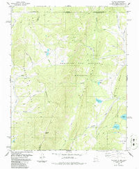 The Wall New Mexico Historical topographic map, 1:24000 scale, 7.5 X 7.5 Minute, Year 1986