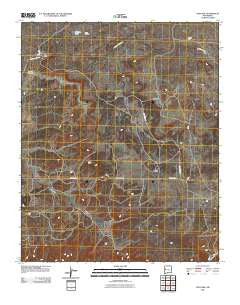 The Dyke New Mexico Historical topographic map, 1:24000 scale, 7.5 X 7.5 Minute, Year 2010