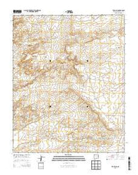 The Pillar New Mexico Historical topographic map, 1:24000 scale, 7.5 X 7.5 Minute, Year 2013