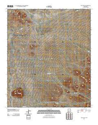 The Saltys New Mexico Historical topographic map, 1:24000 scale, 7.5 X 7.5 Minute, Year 2010