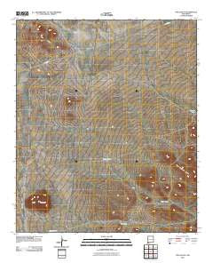 The Saltys New Mexico Historical topographic map, 1:24000 scale, 7.5 X 7.5 Minute, Year 2010