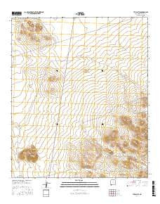 The Saltys New Mexico Current topographic map, 1:24000 scale, 7.5 X 7.5 Minute, Year 2017