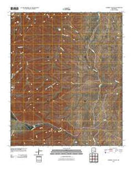 Thimble Canyon New Mexico Historical topographic map, 1:24000 scale, 7.5 X 7.5 Minute, Year 2010