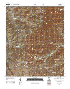 Third Canyon New Mexico Historical topographic map, 1:24000 scale, 7.5 X 7.5 Minute, Year 2011