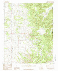 Thompson Mesa New Mexico Historical topographic map, 1:24000 scale, 7.5 X 7.5 Minute, Year 1985