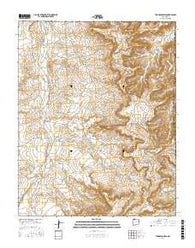 Thompson Mesa New Mexico Current topographic map, 1:24000 scale, 7.5 X 7.5 Minute, Year 2017