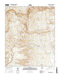Thompson Ranch New Mexico Current topographic map, 1:24000 scale, 7.5 X 7.5 Minute, Year 2017