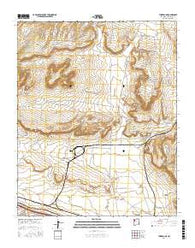 Thoreau NE New Mexico Current topographic map, 1:24000 scale, 7.5 X 7.5 Minute, Year 2017