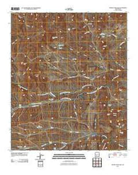 Thumb Tank Peak New Mexico Historical topographic map, 1:24000 scale, 7.5 X 7.5 Minute, Year 2010