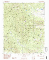Tooth Of Time New Mexico Historical topographic map, 1:24000 scale, 7.5 X 7.5 Minute, Year 1994