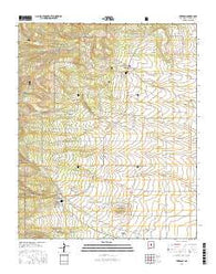 Torreon New Mexico Current topographic map, 1:24000 scale, 7.5 X 7.5 Minute, Year 2017