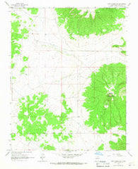 Tres Piedras NE New Mexico Historical topographic map, 1:24000 scale, 7.5 X 7.5 Minute, Year 1963