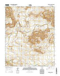 Trinchera Creek New Mexico Historical topographic map, 1:24000 scale, 7.5 X 7.5 Minute, Year 2013