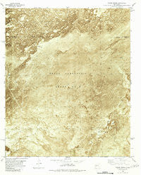 Tucson Spring New Mexico Historical topographic map, 1:24000 scale, 7.5 X 7.5 Minute, Year 1982