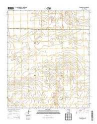 Tucson Spring New Mexico Historical topographic map, 1:24000 scale, 7.5 X 7.5 Minute, Year 2013