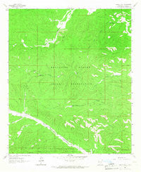 Turkey Peak New Mexico Historical topographic map, 1:24000 scale, 7.5 X 7.5 Minute, Year 1963