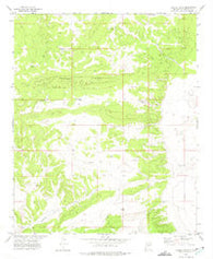 Turkey Ridge New Mexico Historical topographic map, 1:24000 scale, 7.5 X 7.5 Minute, Year 1972