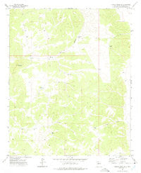 Turkey Ridge SW New Mexico Historical topographic map, 1:24000 scale, 7.5 X 7.5 Minute, Year 1972