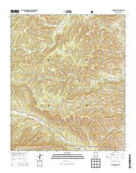 Turkey Peak New Mexico Current topographic map, 1:24000 scale, 7.5 X 7.5 Minute, Year 2013