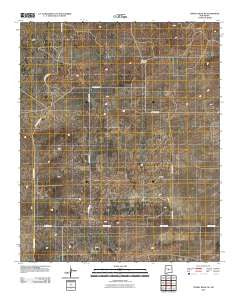 Turkey Ridge NE New Mexico Historical topographic map, 1:24000 scale, 7.5 X 7.5 Minute, Year 2010